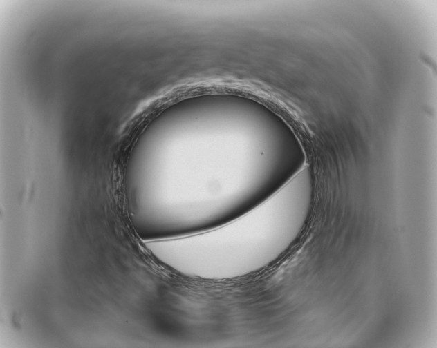 X0000096451494200801241128