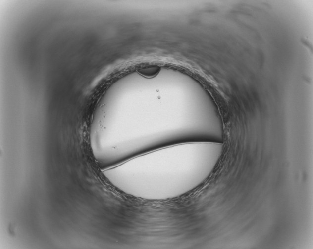 X0000096451495200801241128