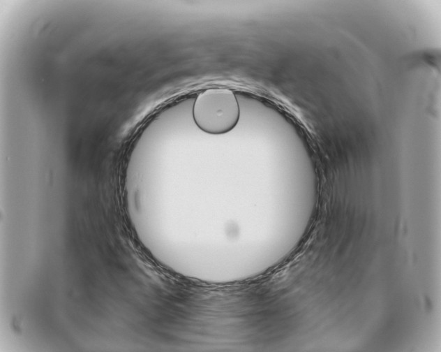 X0000096451496200801241128