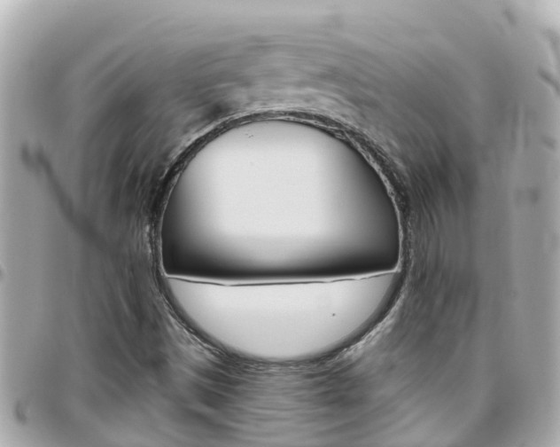 X0000096451497200801241128