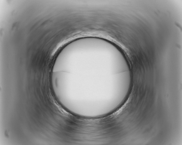 X0000096451498200801241128