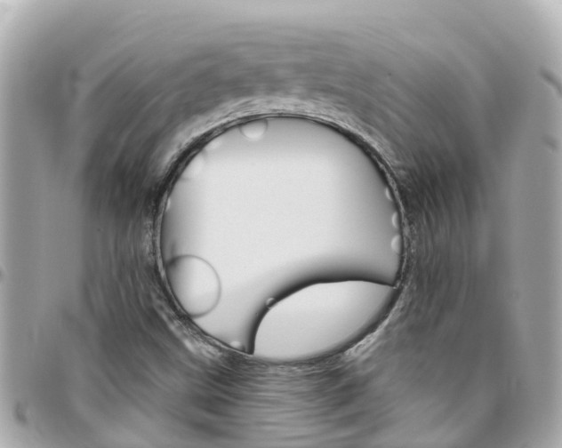 X0000096451499200801241128