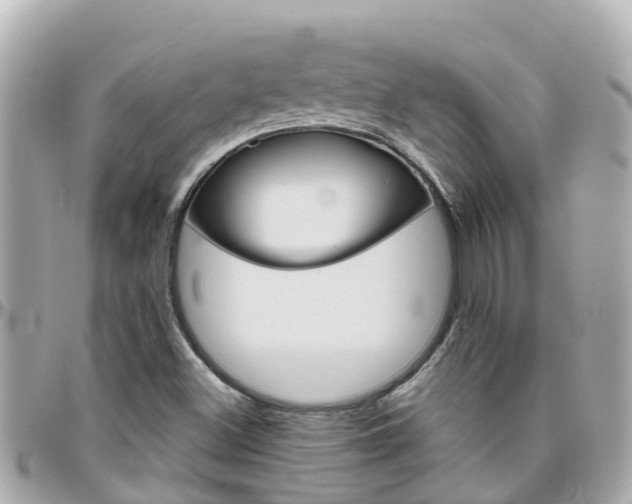 X0000096451500200801241128