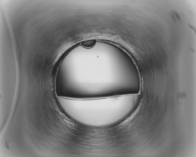 X0000096451501200801241128