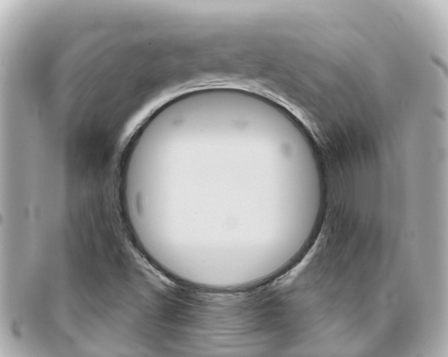 X0000096451502200801241128