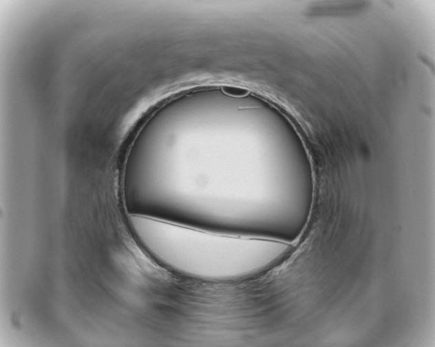 X0000096451503200801241128