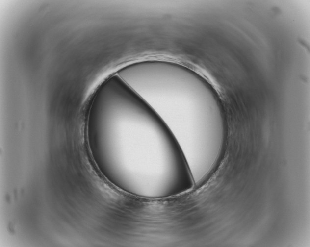 X0000096451504200801241128