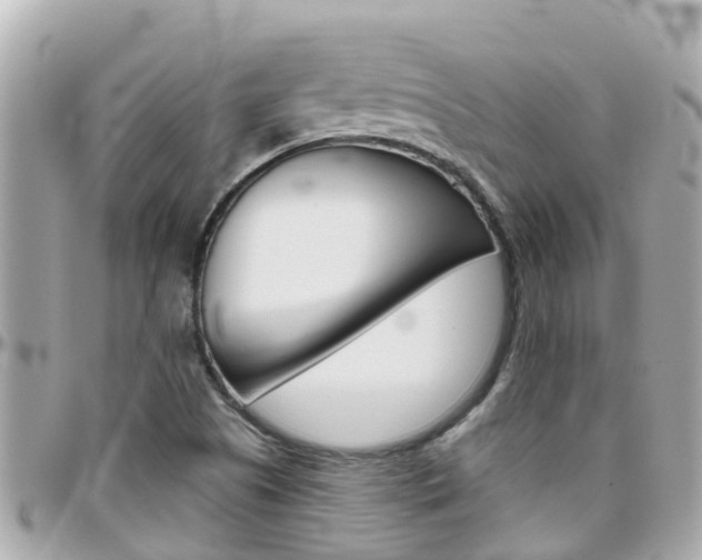 X0000096451505200801241128