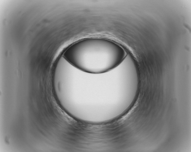 X0000096451506200801241128