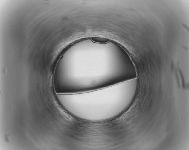 X0000096451507200801241128