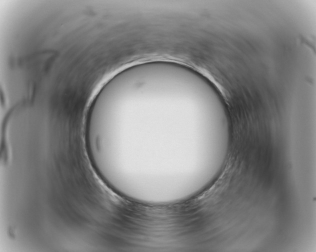 X0000096451508200801241128
