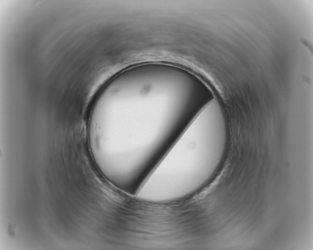 X0000096451509200801241128