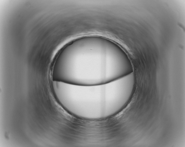 X0000096451510200801241128