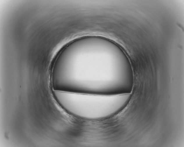 X0000096451511200801241128
