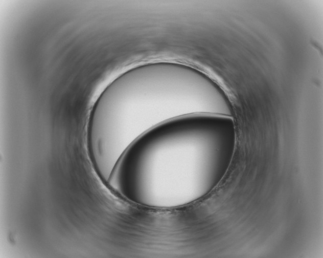 X0000096451512200801241128