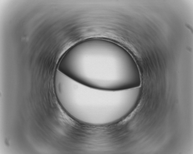 X0000096451513200801241128
