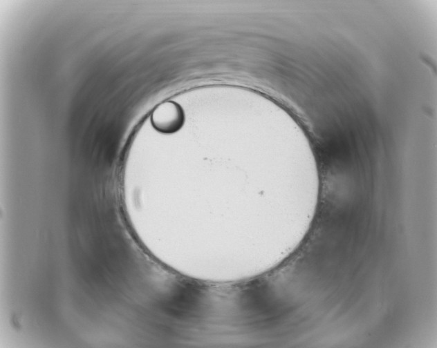 X0000096451514200801241128