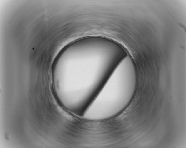 X0000096451515200801241128