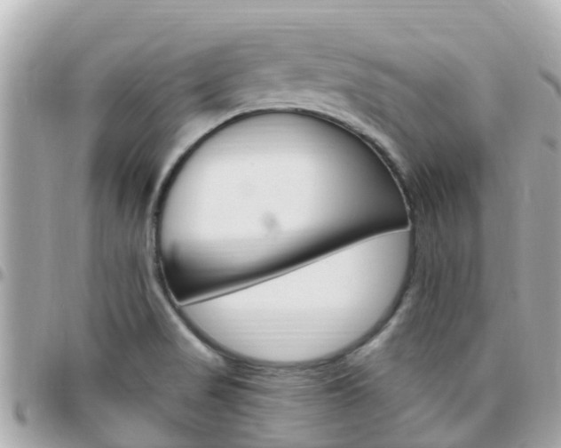 X0000096451517200801241128
