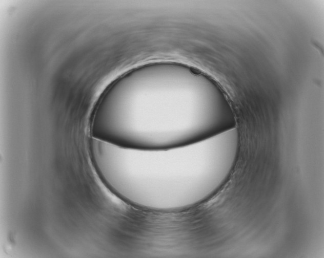 X0000096451519200801241128