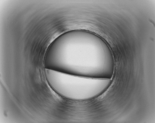 X0000096451521200801241128