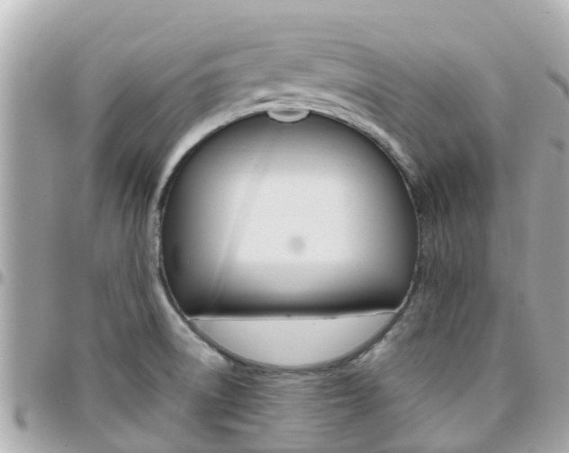 X0000096451522200801241128