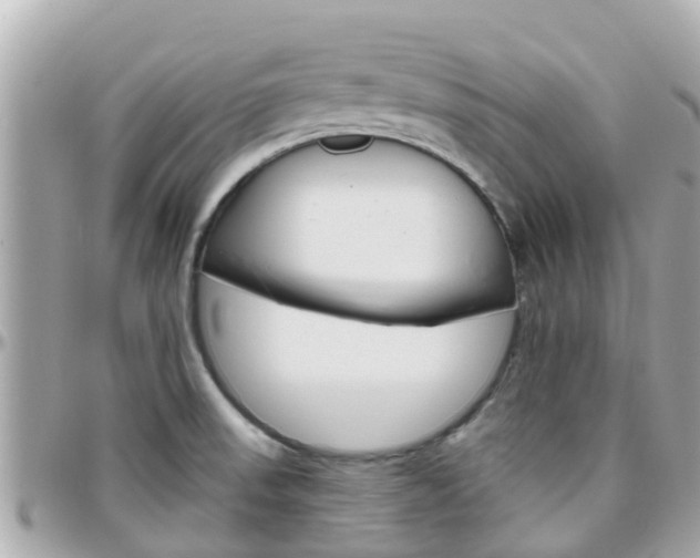 X0000096451523200801241128