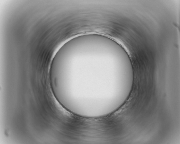 X0000096451524200801241128