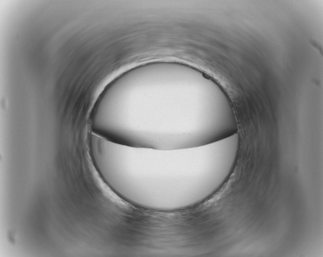 X0000096451526200801241129