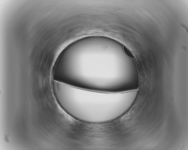 X0000096451527200801241129