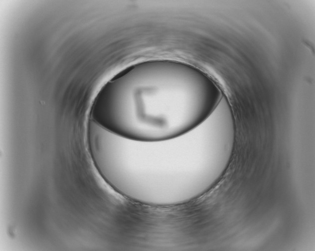 X0000096451528200801241129