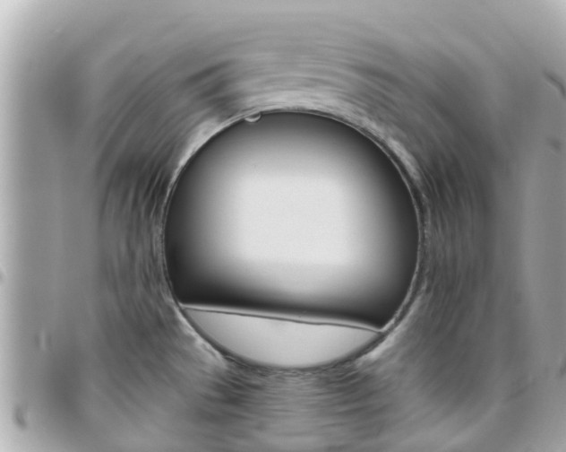 X0000096451529200801241129