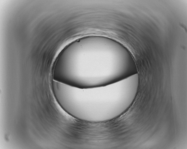 X0000096451531200801241129