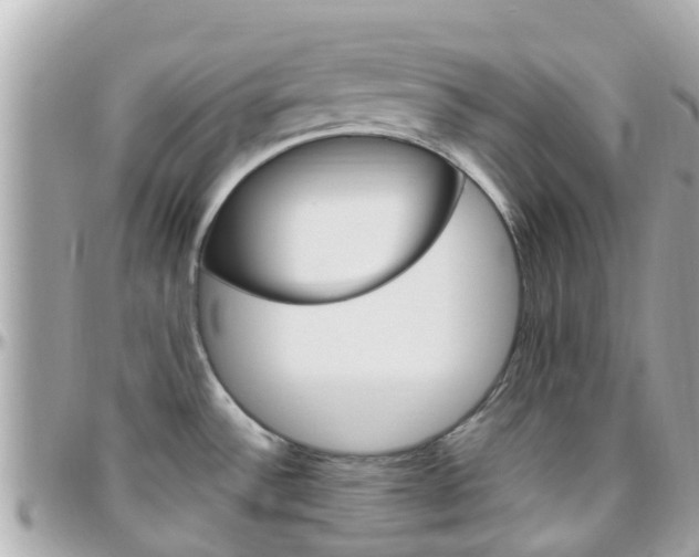 X0000096451532200801241129
