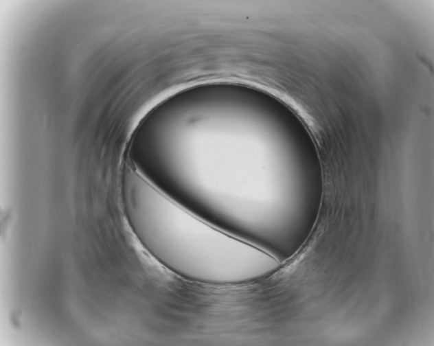 X0000096451534200801241129