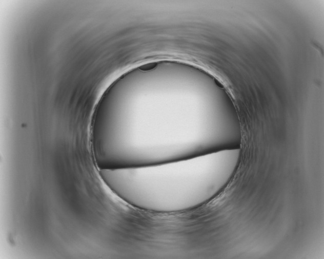 X0000096451535200801241129