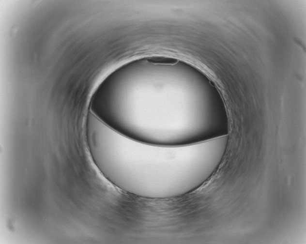 X0000096451536200801241129