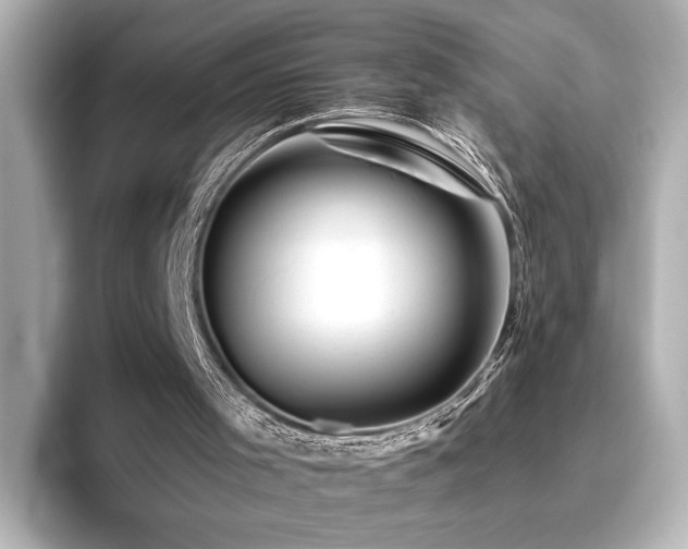 X0000096450001200801241428