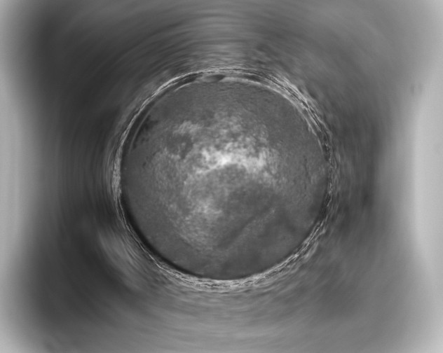 X0000096450002200801241428