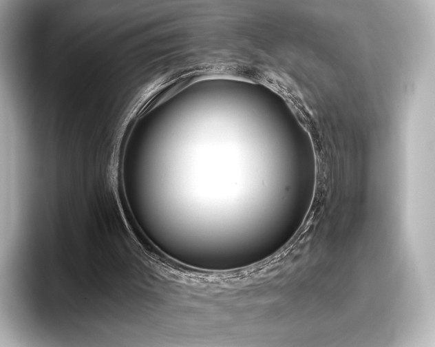 X0000096450003200801241428