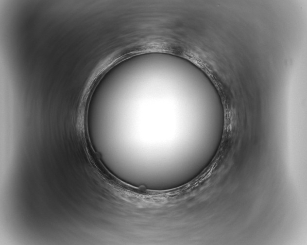 X0000096450004200801241428