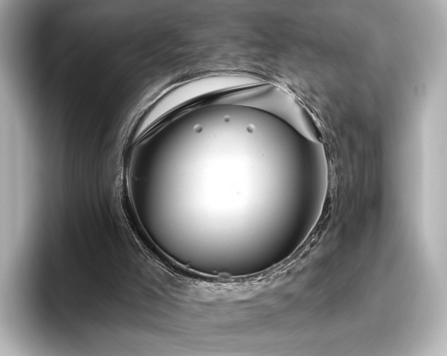 X0000096450005200801241428