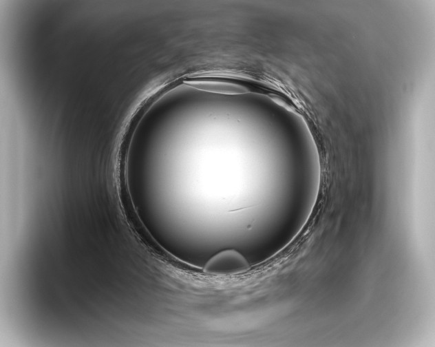 X0000096450006200801241428