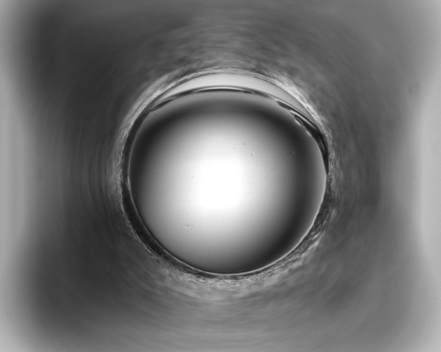 X0000096450007200801241428