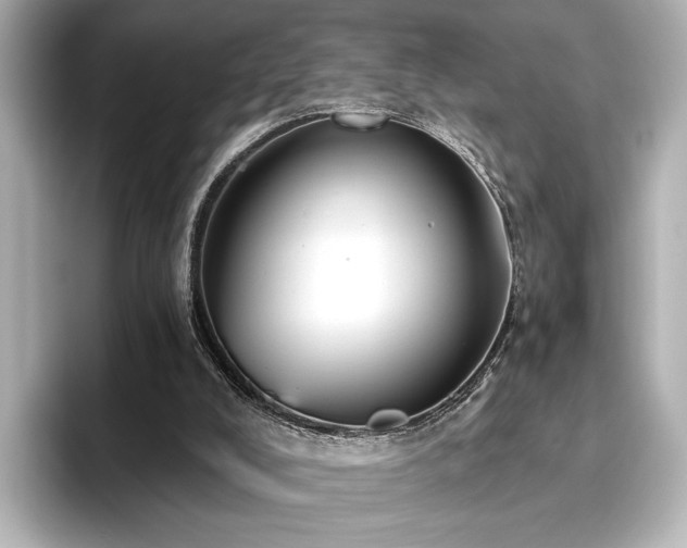 X0000096450008200801241428