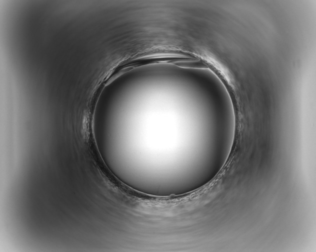 X0000096450009200801241428