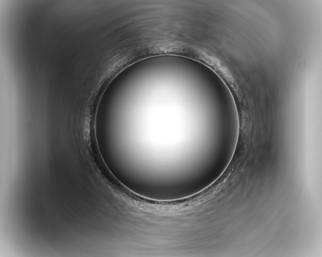 X0000096450010200801241428