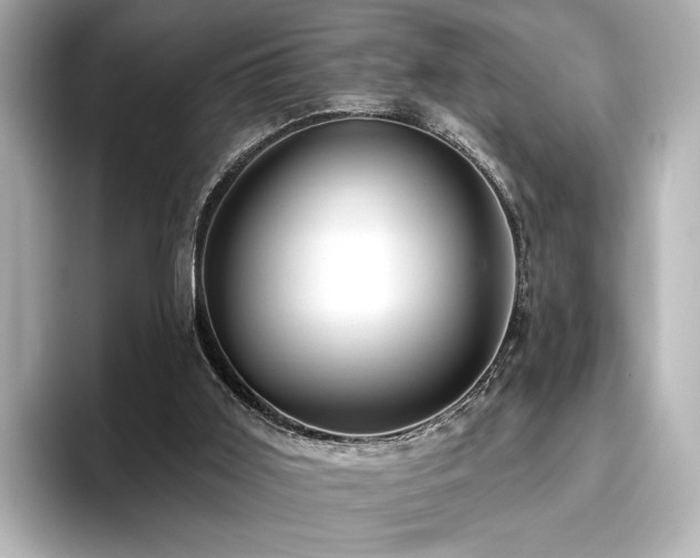 X0000096450011200801241428