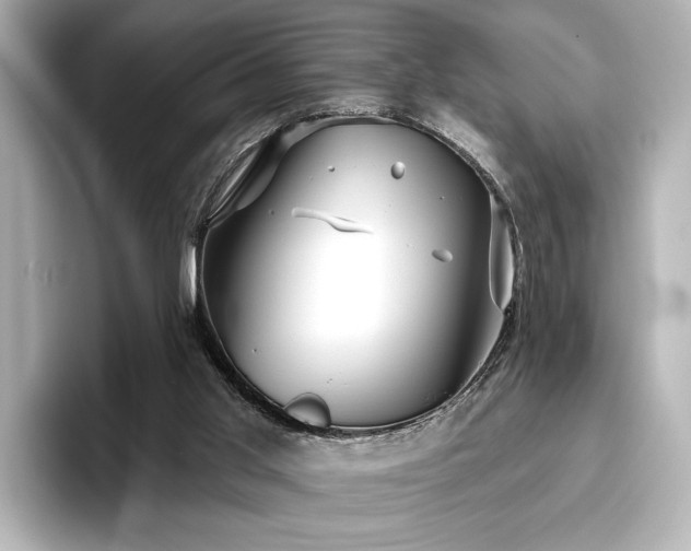 X0000096450013200801241428