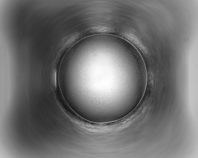 X0000096450014200801241428